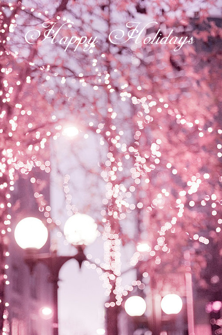 Preciously Me blog : Happy Holidays