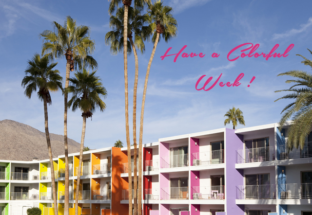 Preciously Me blog : Saguaro Palm Springs