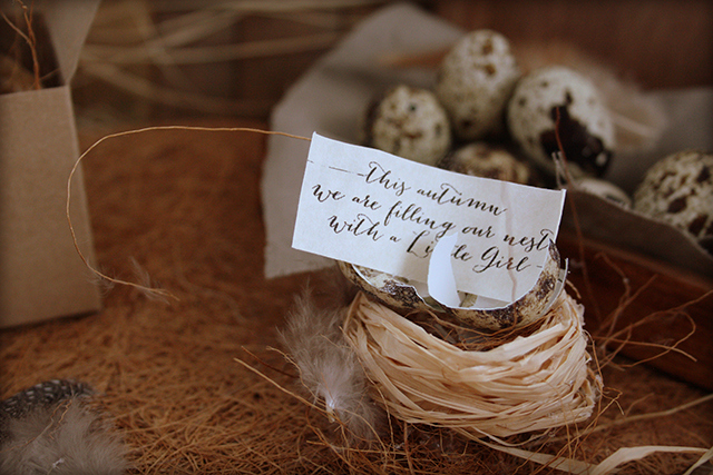 Preciously Me blog : DIY - Secret Message Egg